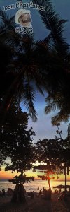 DonCharisma.org Beach Sunset Palm Towerama PTGui-1w-x-7h-L