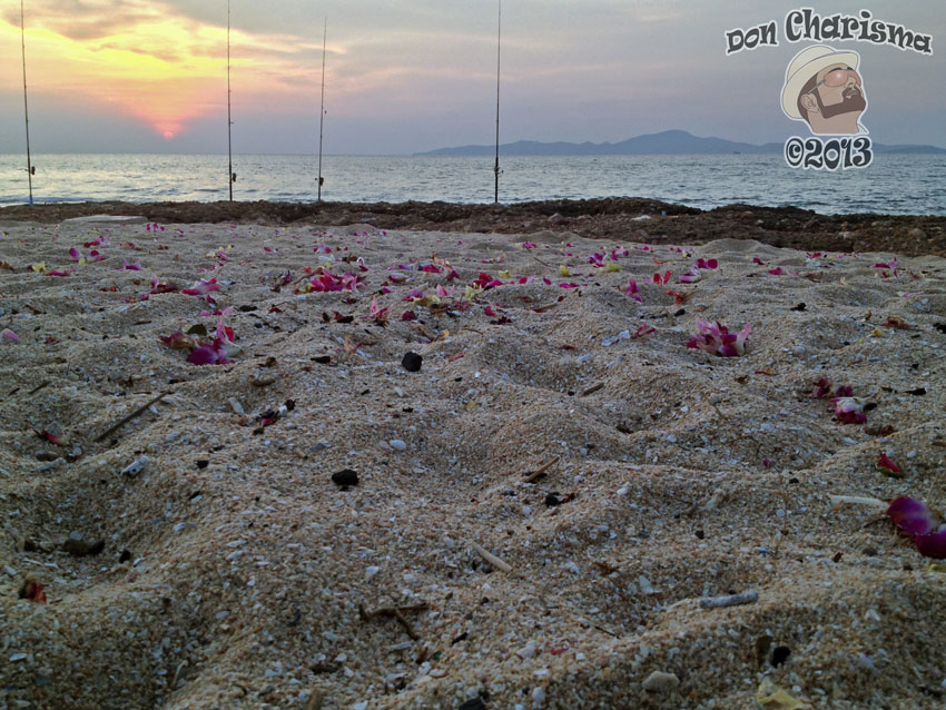 Petals And Fishing Rods Sunset
